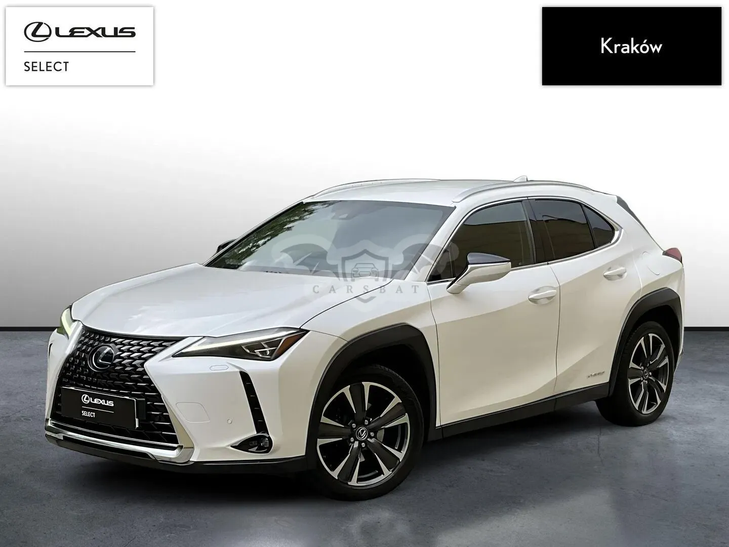 Lexus UX 2019