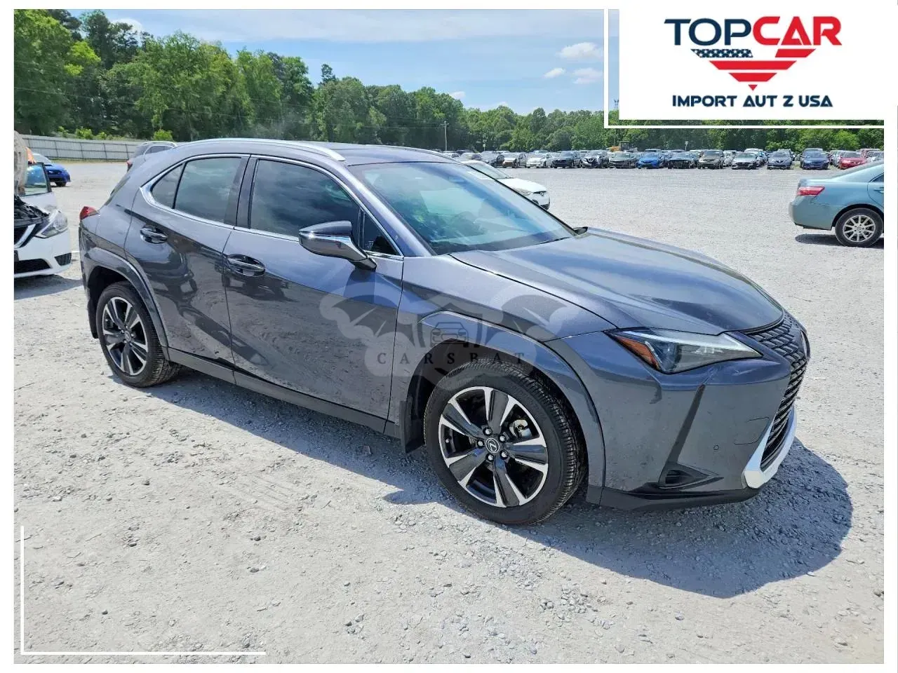 Lexus UX 300h Business 2025