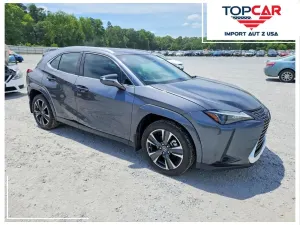Lexus UX 300h Business 2025