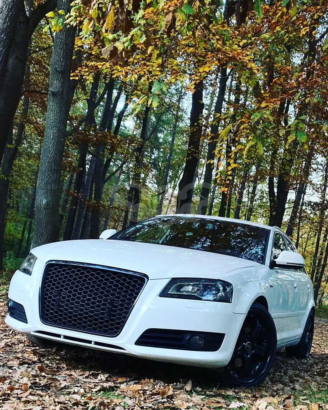 Audi A3 8P 2008