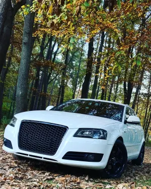 Audi A3 8P 2008