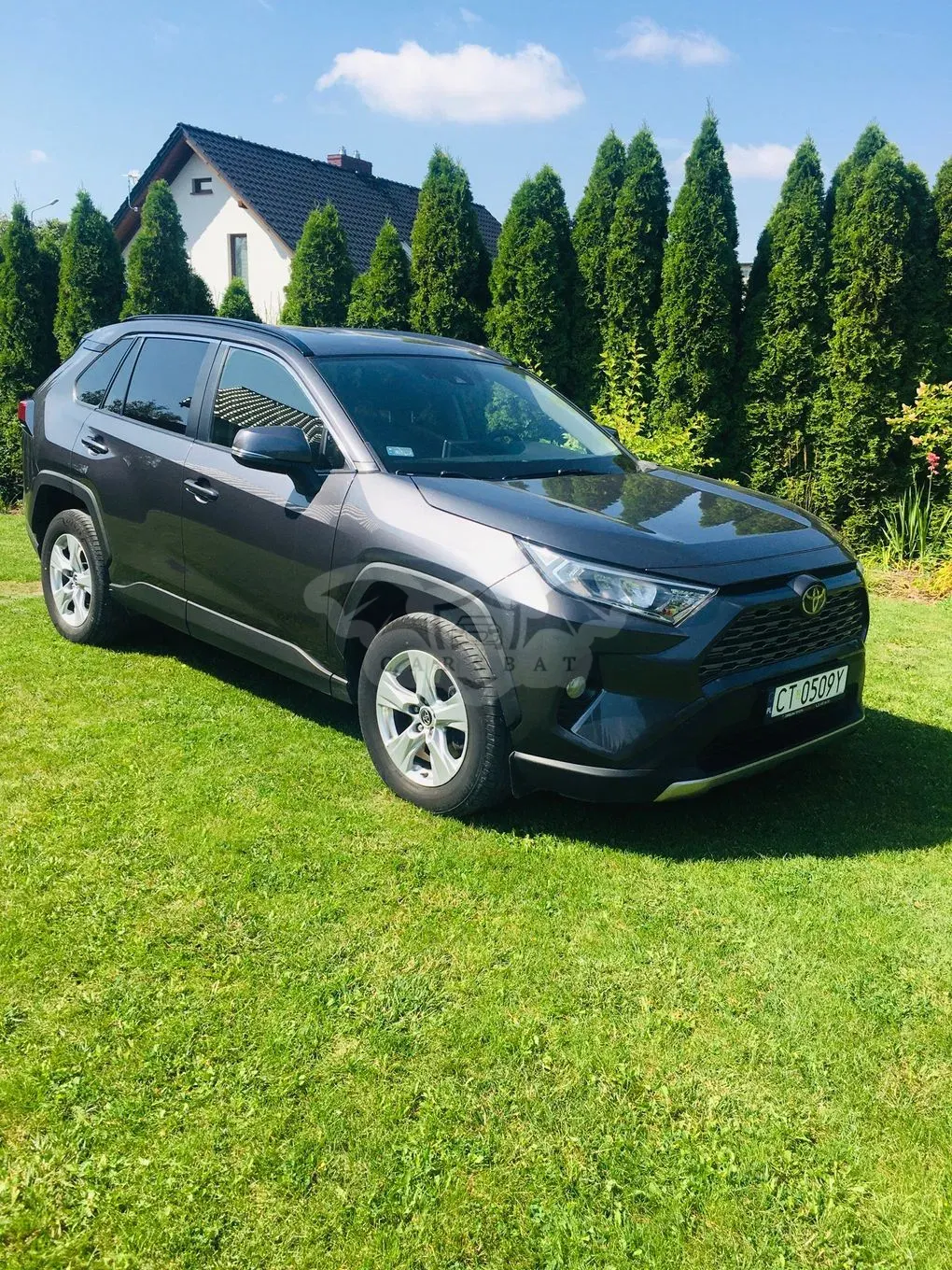Toyota Rav4 V 2.0 Comfort 4x2 MS 2019