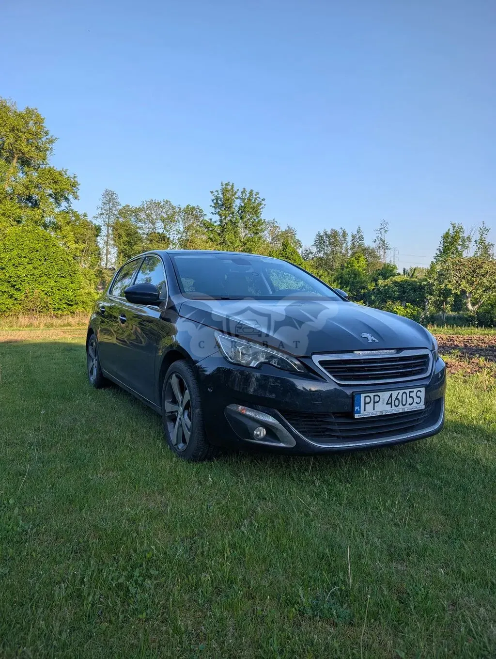 Peugeot 308 T9 1.6 e-HDi Allure S&S 2013