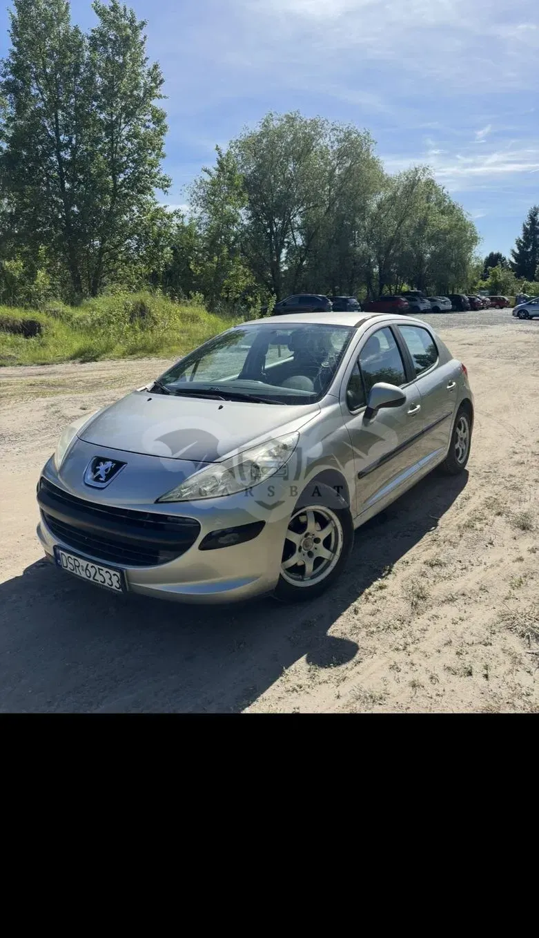 Peugeot 207 75 Tendance 2007