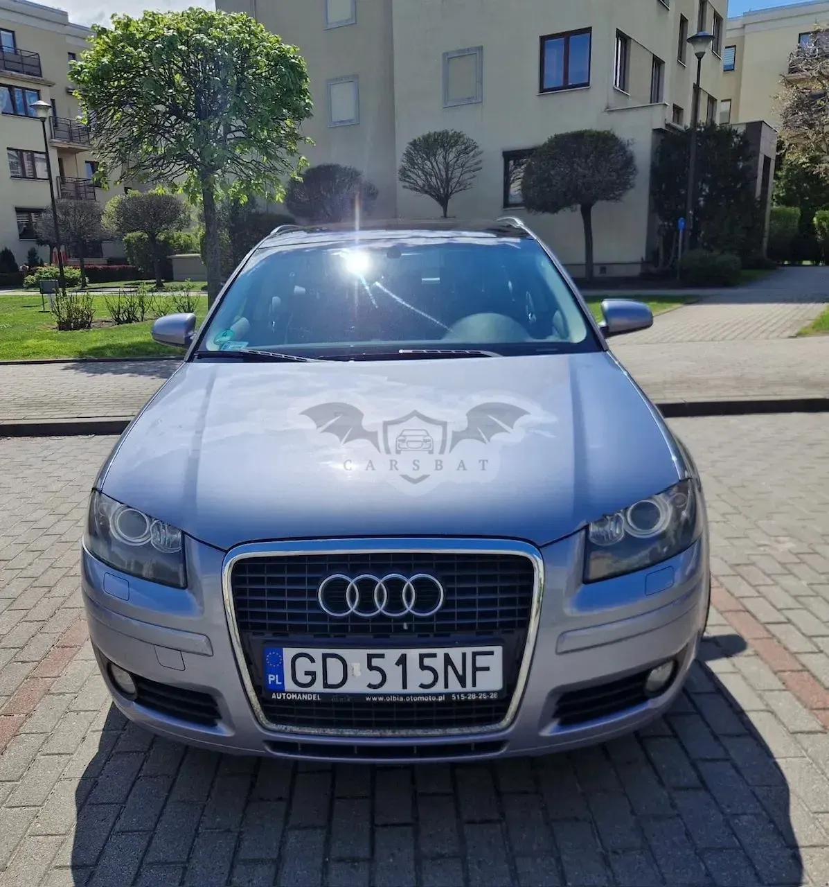 Audi A3 8P 2.0 TDI DSG Attraction 2007
