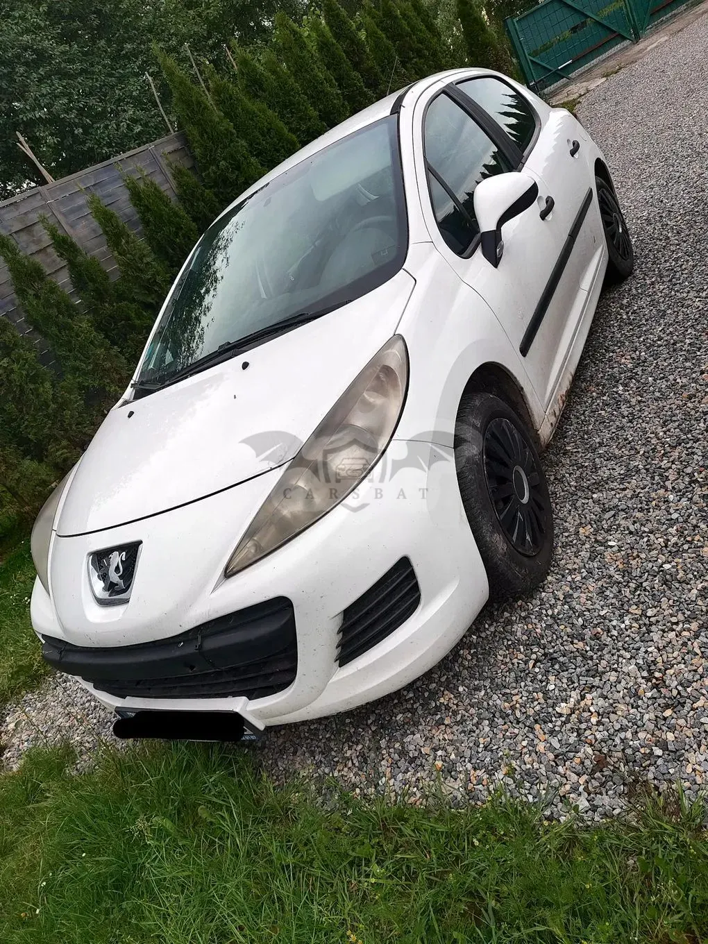 Peugeot 207 2010