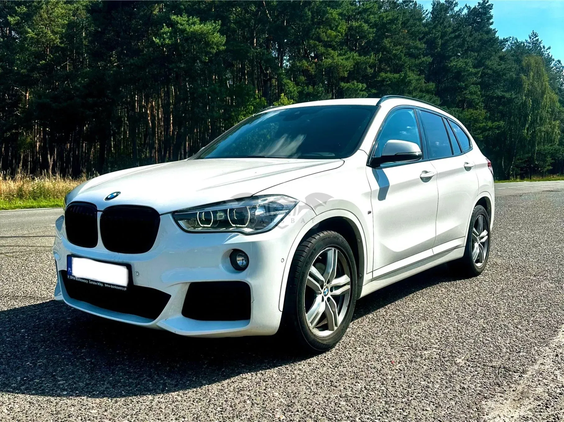 BMW X1 F48 sDrive18d M Sport 2017