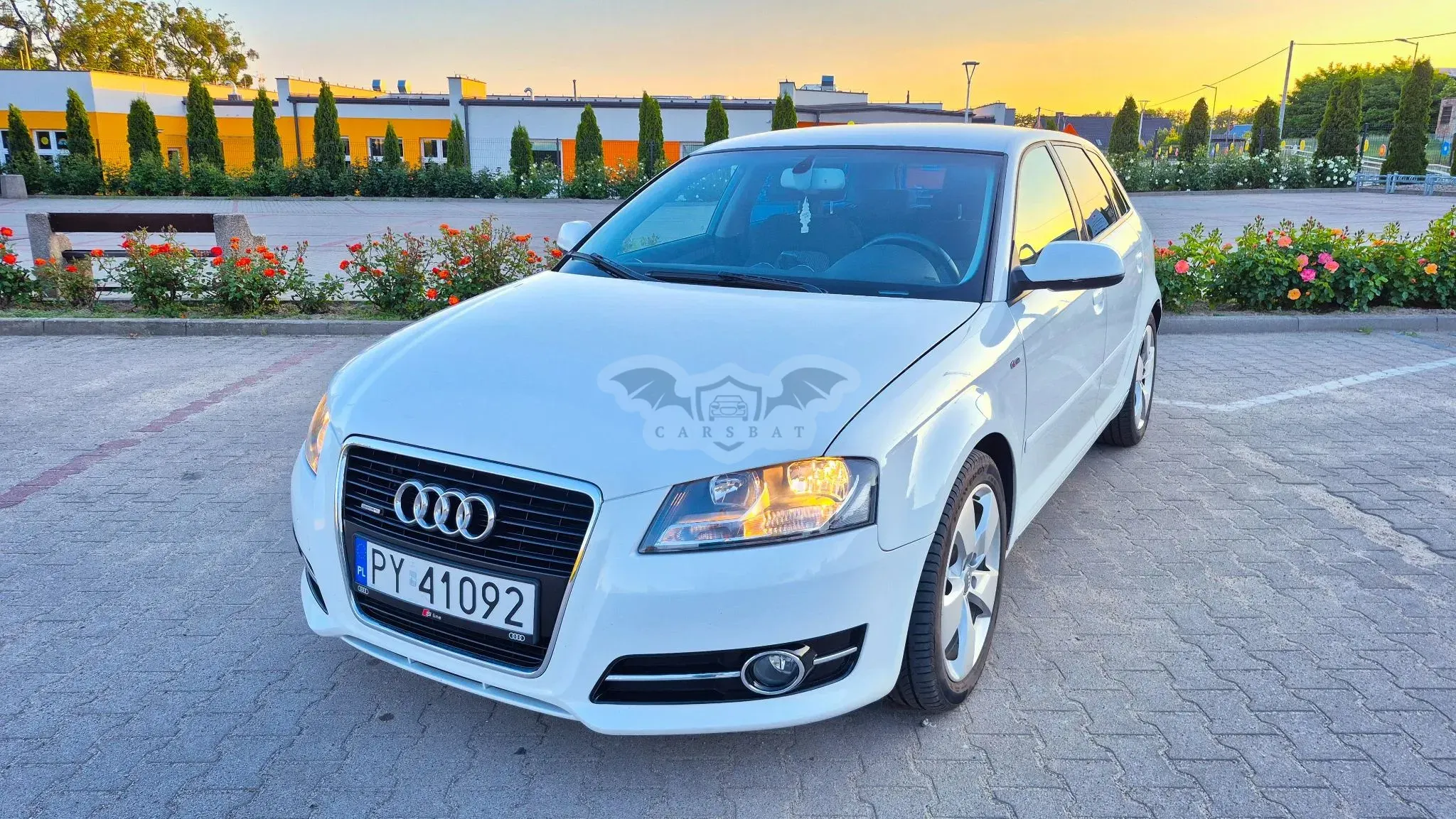 Audi A3 8P 2.0 TDI DPF Quattro Attraction 2010