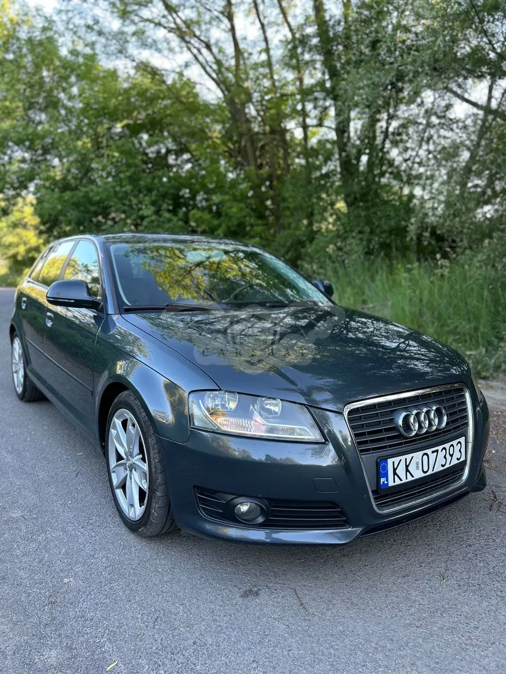 Audi A3 8P 2.0 TDI Attraction 2008