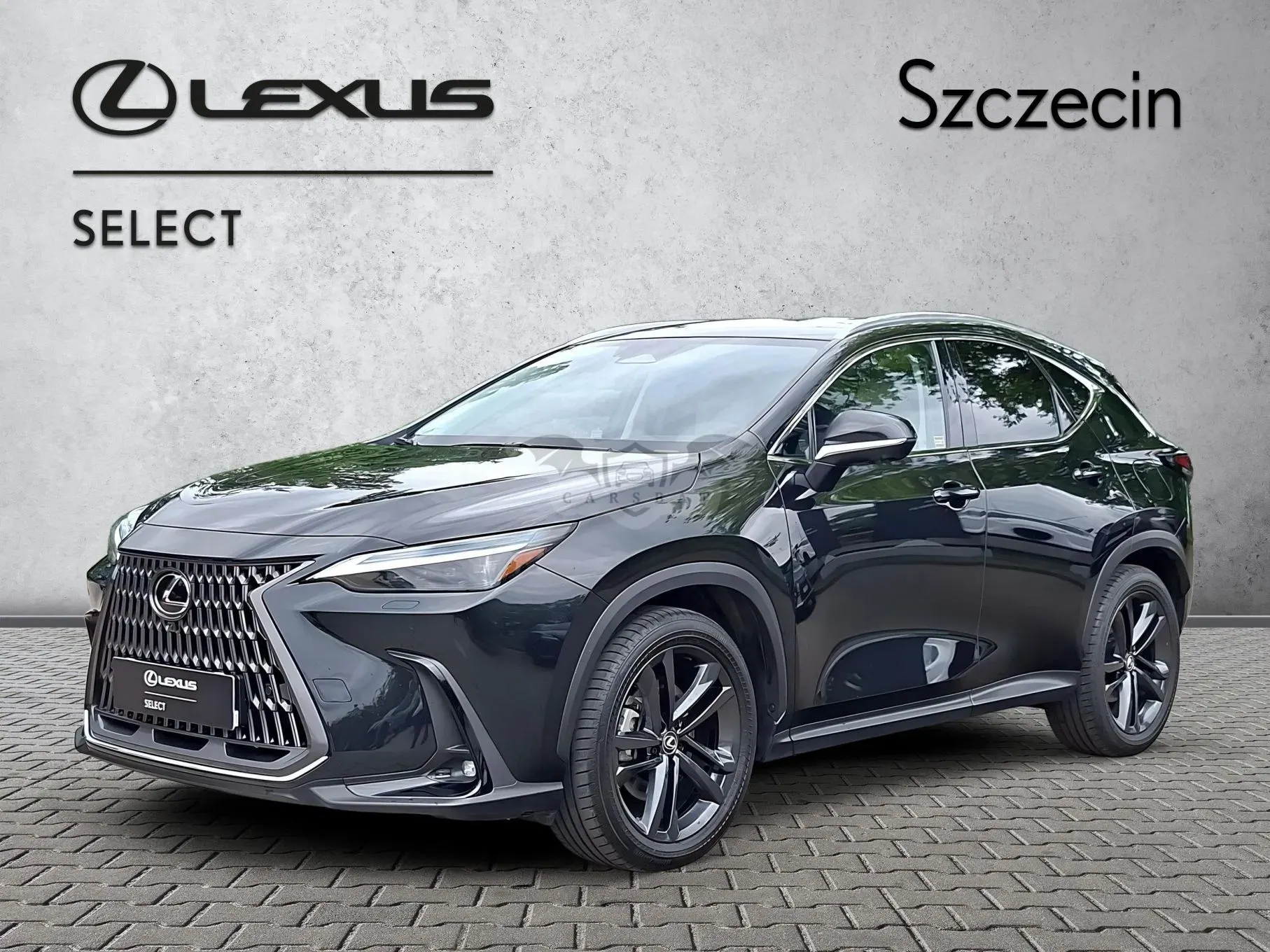 Lexus NX II 2025