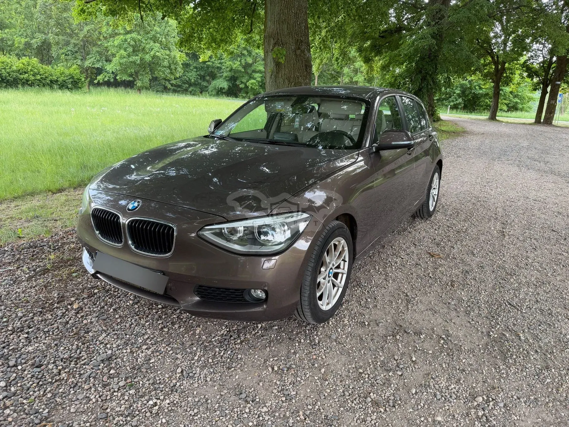 BMW 1 Series F20/F21 2013