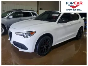 Alfa Romeo Stelvio 2.0 Turbo Super Q4 2020