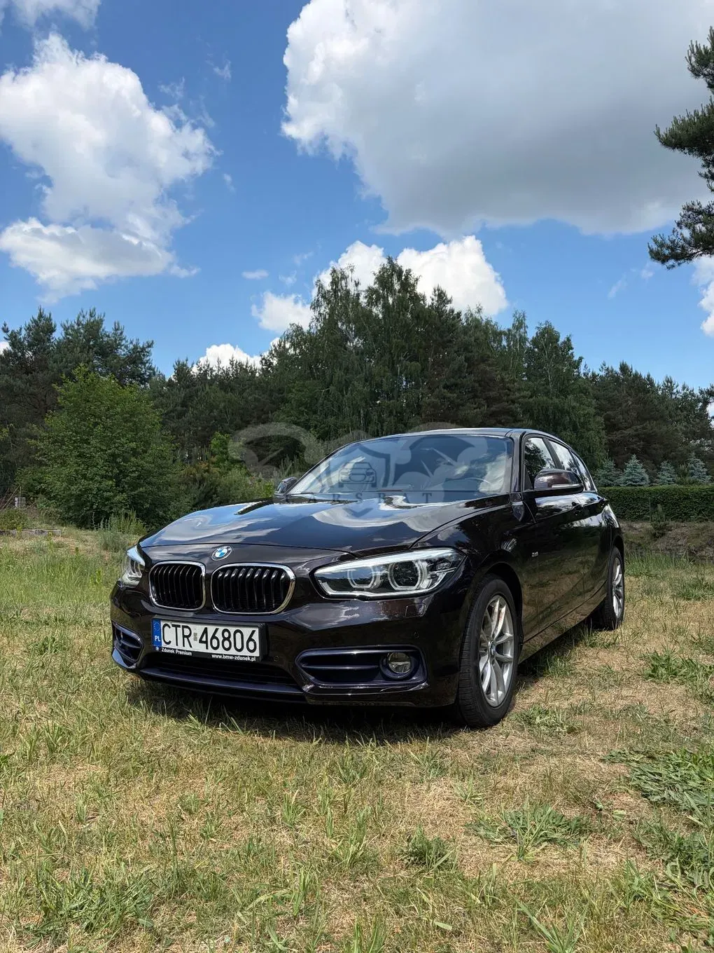 BMW 1 Series F20/F21 118i Sport Line 2017