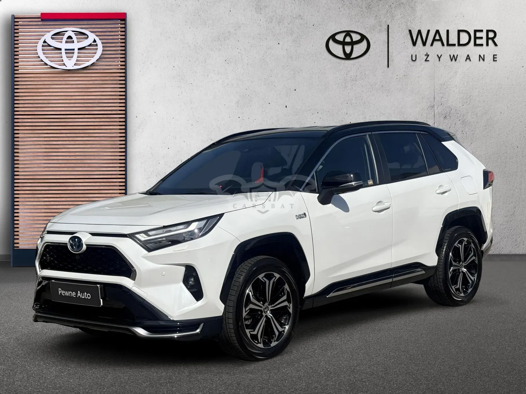 Toyota Rav4 V 2.5 Plug-In Hybrid Selection 4x4 2024