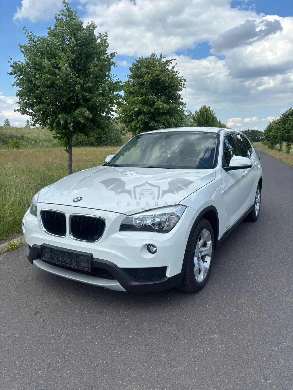 BMW X1 E84 sDrive16d 2014