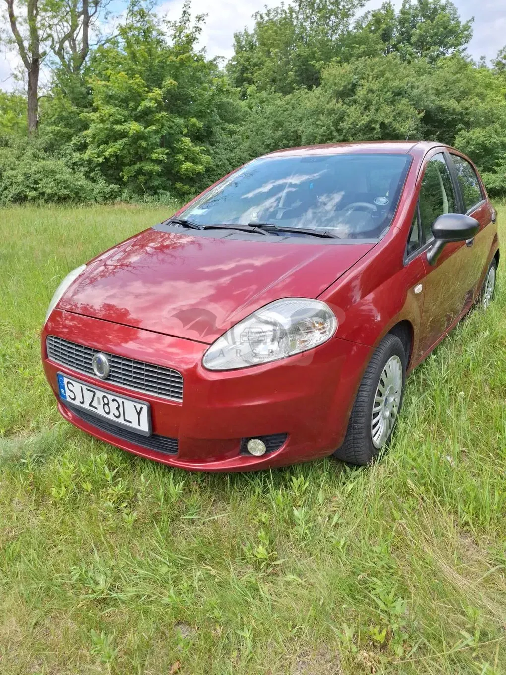 Fiat Punto 1.4 8V Active 2006