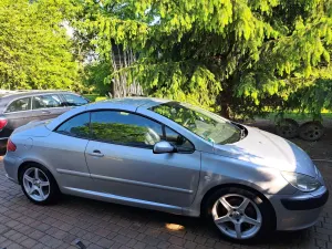 Peugeot 307 I 2.0 XS 2004