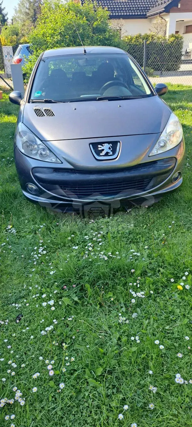 Peugeot 206 2009
