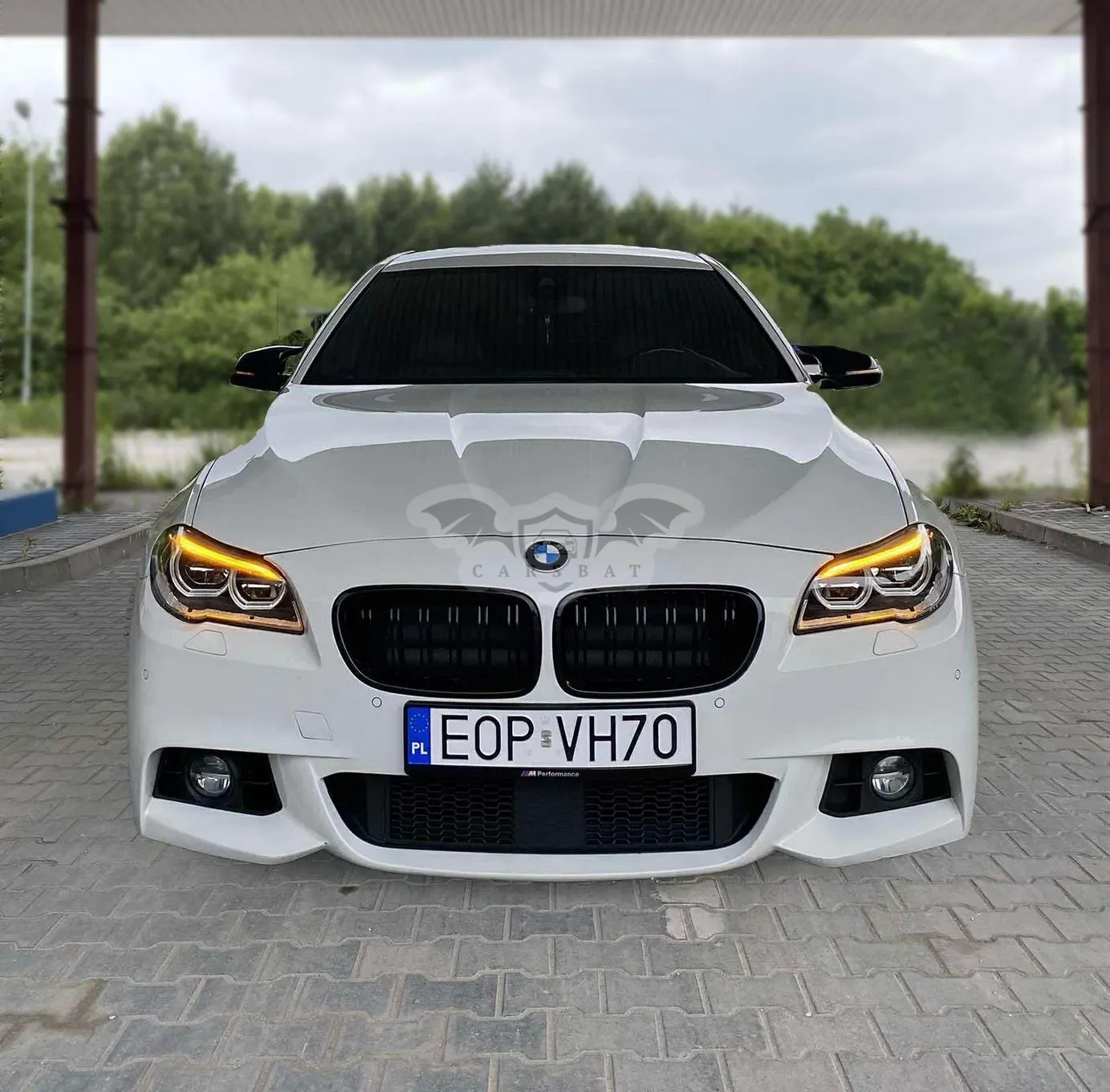 BMW 5 Series F10/F11 530d xDrive 2017