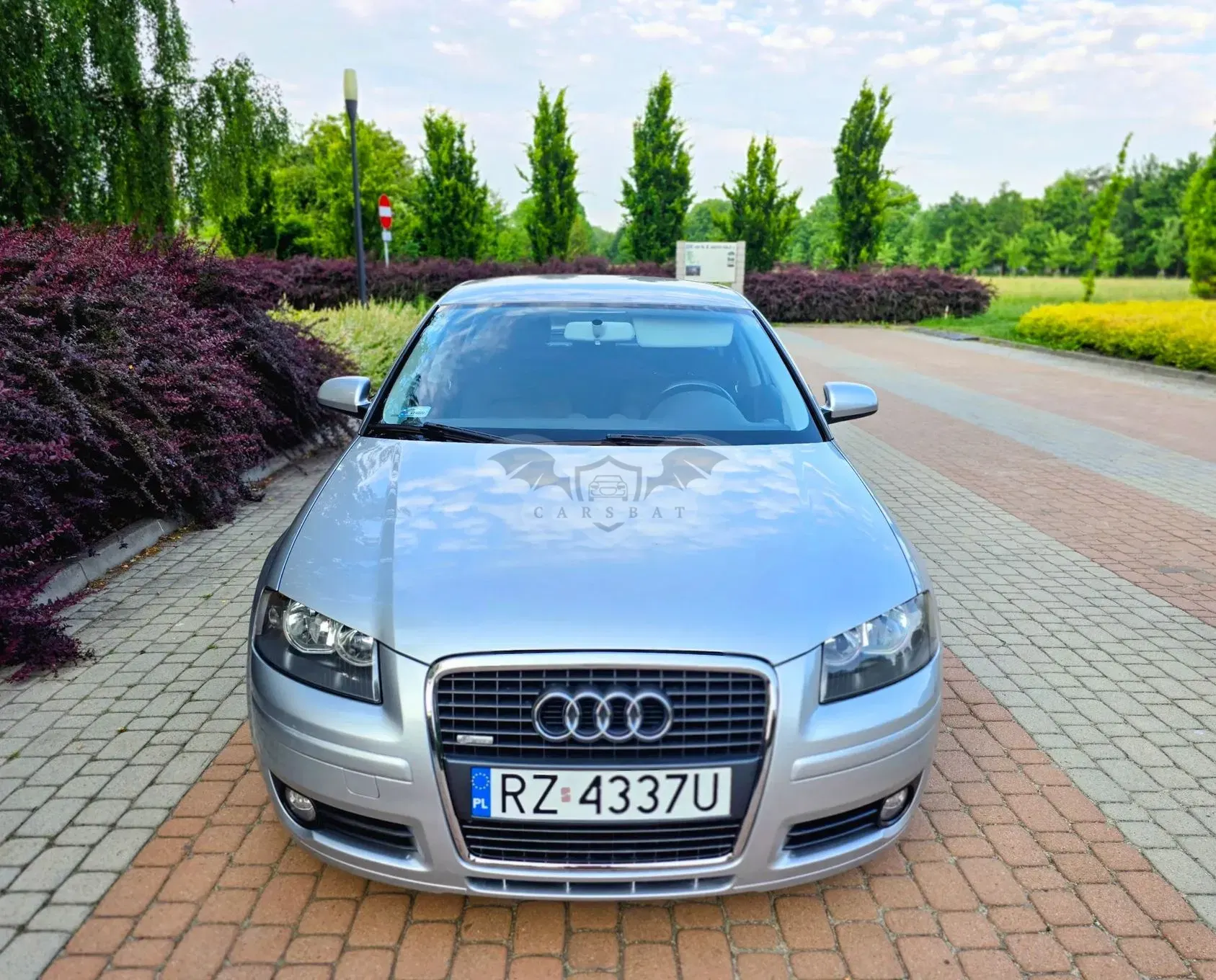 Audi A3 8P 2006