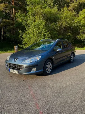 Peugeot 407 125 2007