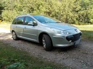 Peugeot 307 II 1.6 HDi 2007