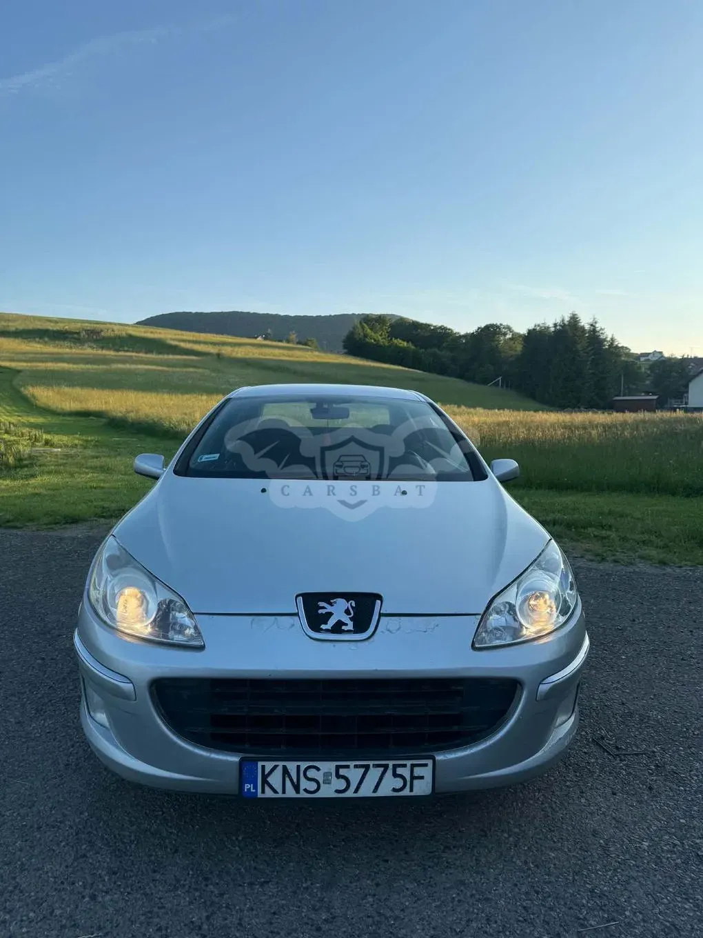 Peugeot 407 1.6 HDI Premium 2006