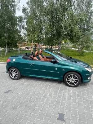 Peugeot 206 2004