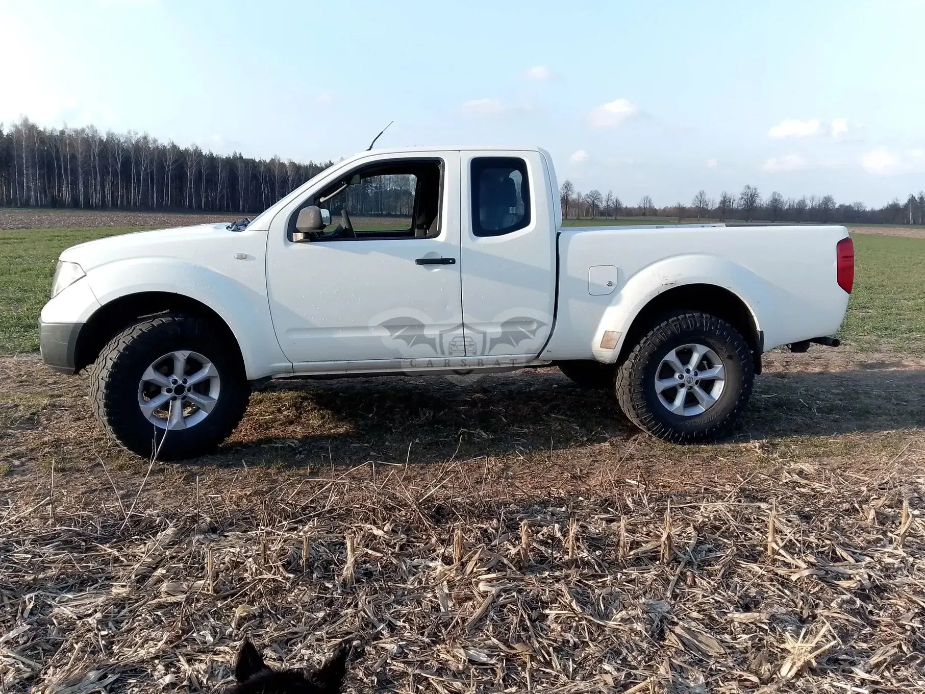 Nissan Navara 2009