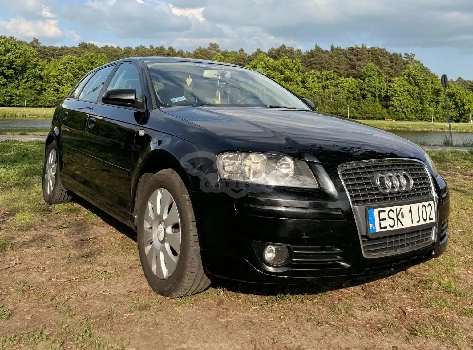 Audi A3 8P 1.9 TDI Ambiente 2006