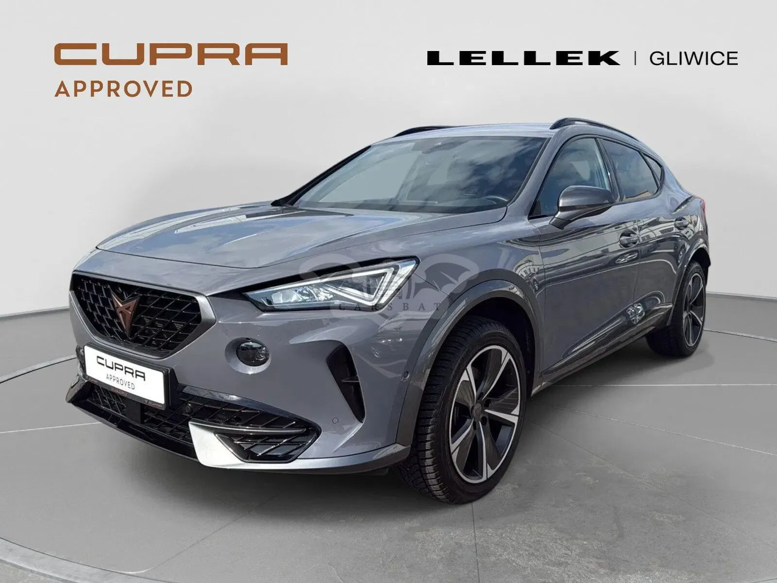 Cupra Formentor 2.0 TSI 4Drive DSG 2023