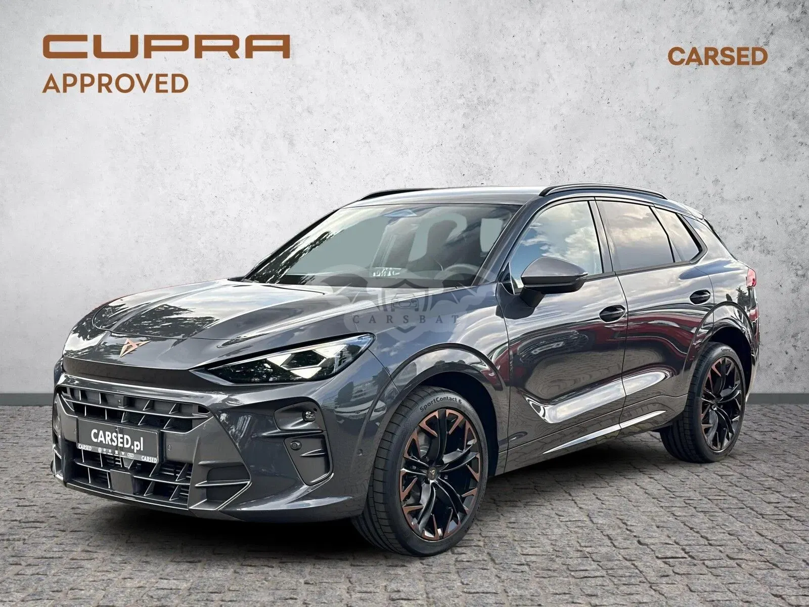Cupra Terramar 2.0 TSI 4Drive VZ DSG 2025