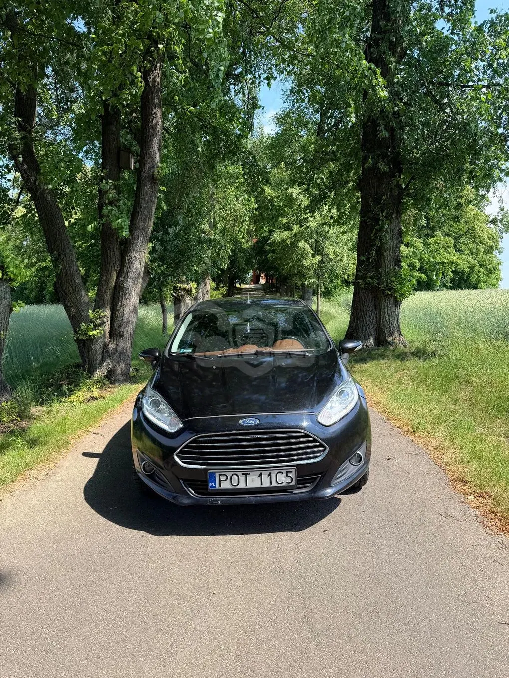 Ford Fiesta Mk7 1.6 TDCi Trend 2013
