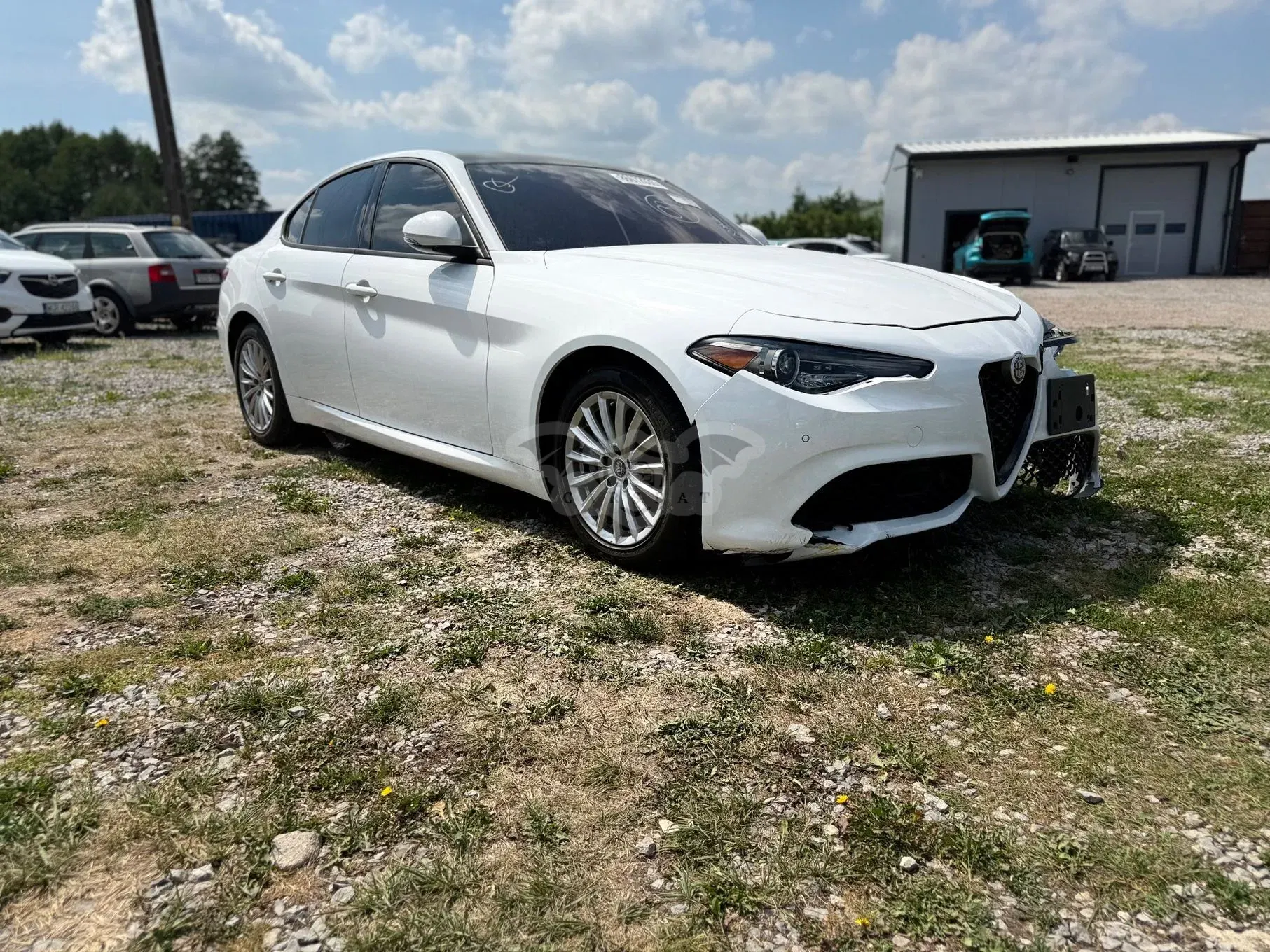 Alfa Romeo Giulia 2.0 Turbo Veloce 2023