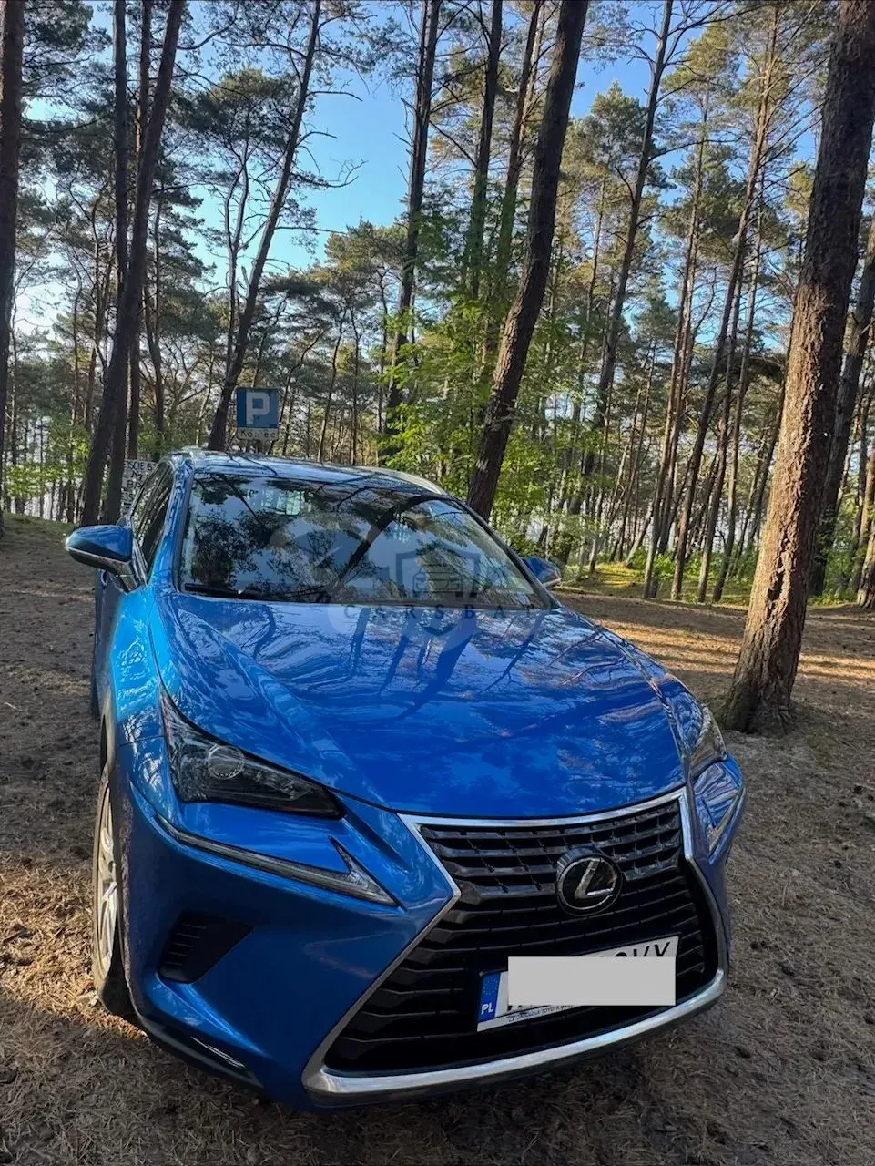 Lexus NX I 300 Elegance AWD 2019