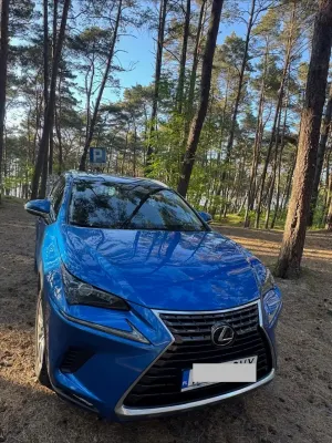 Lexus NX I 300 Elegance AWD 2019