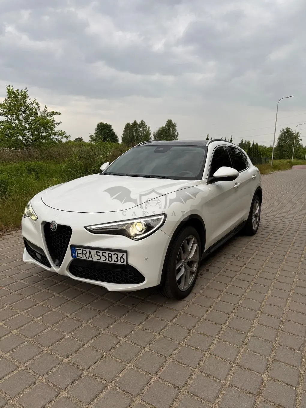 Alfa Romeo Stelvio 2.0 Turbo 16V AT8-Q4 Ti 2017
