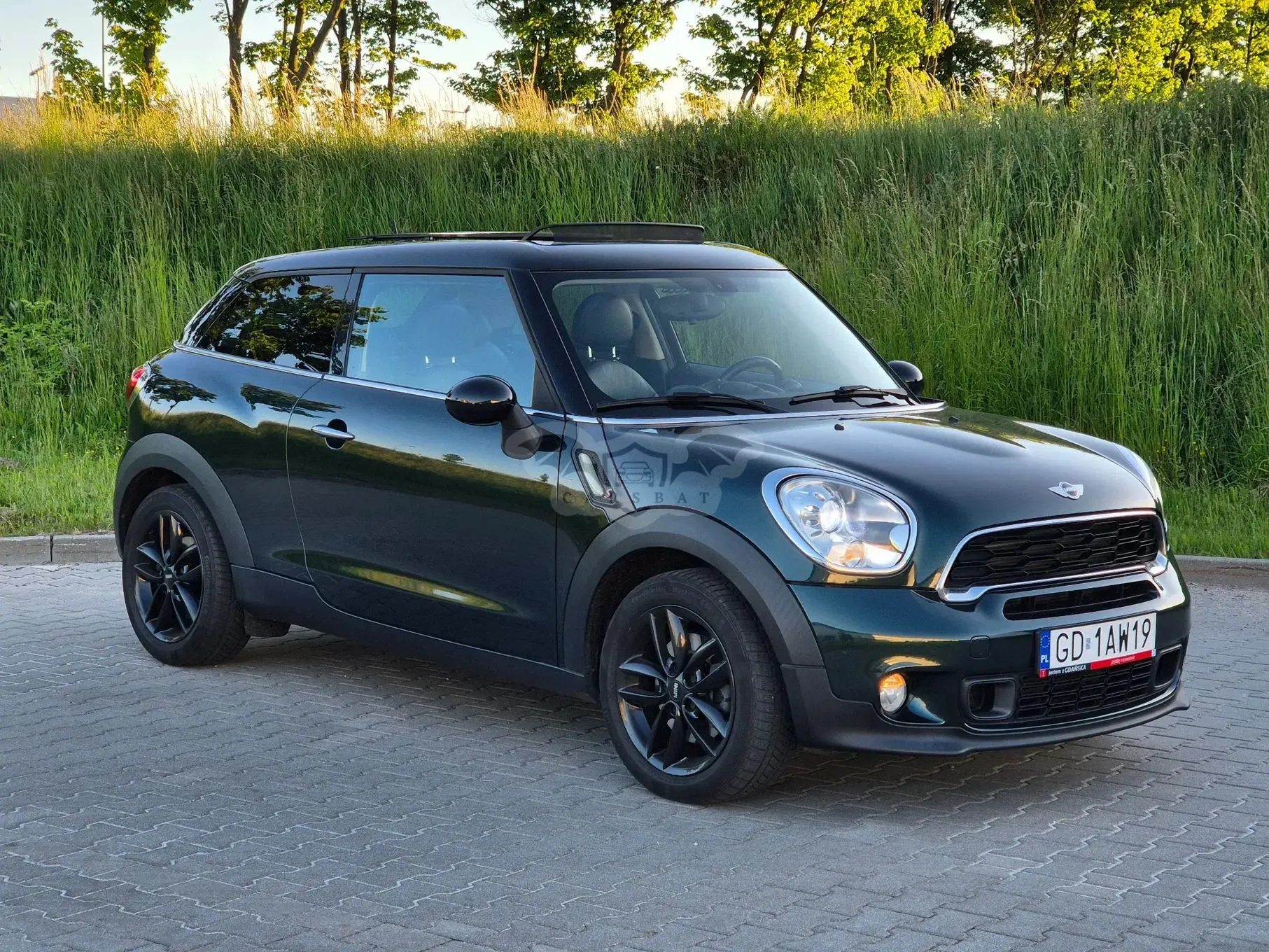 Mini Paceman Cooper S 2013