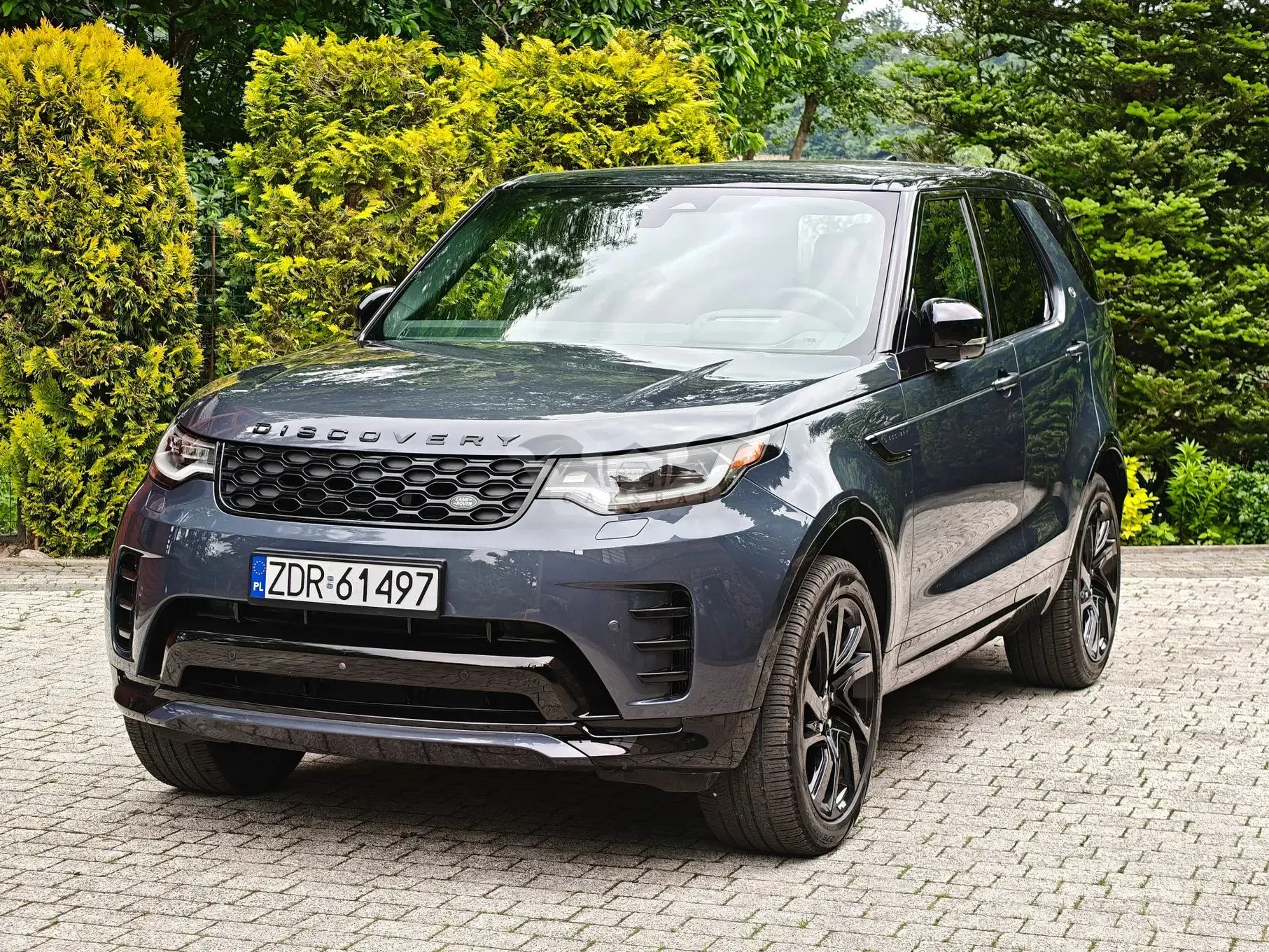 Land Rover Discovery V 3.0 P360 mHEV R-Dynamic SE 2024