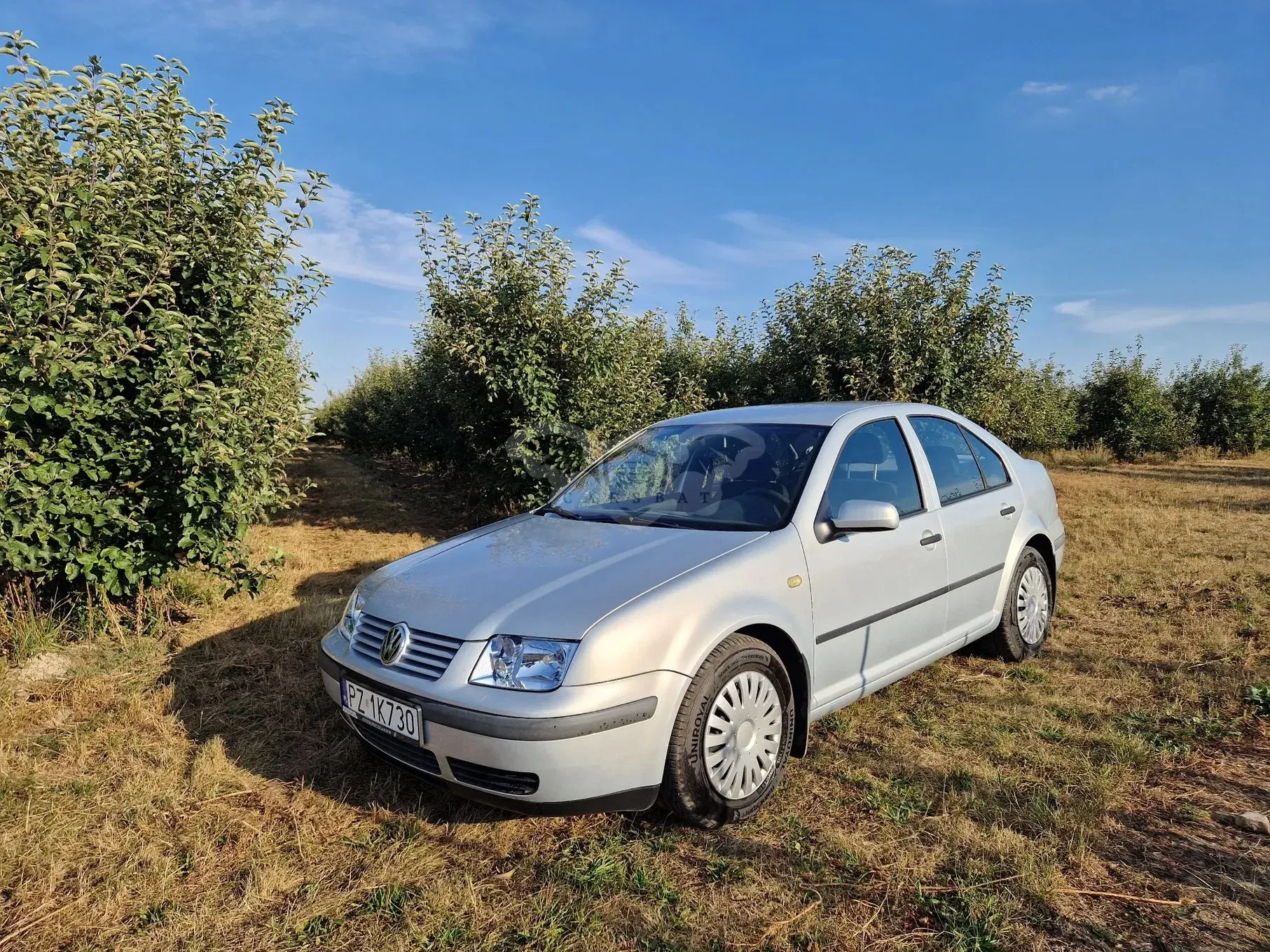 Volkswagen Bora 1.6 Basis 1999