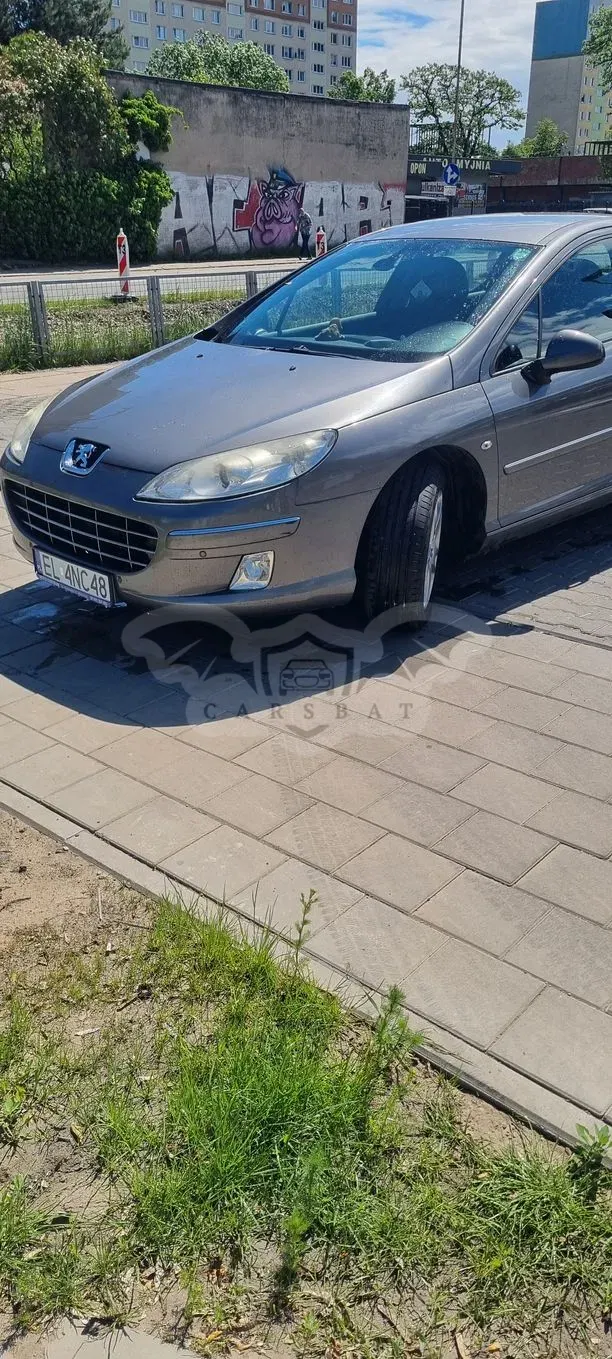 Peugeot 407 2.0 HDi Premium 2010