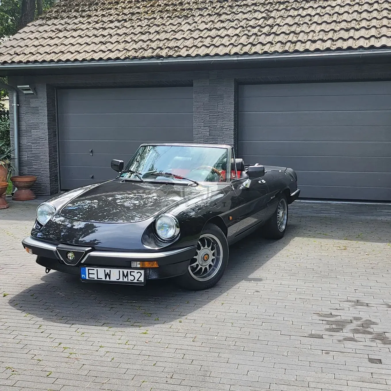 Alfa Romeo Spider 1981