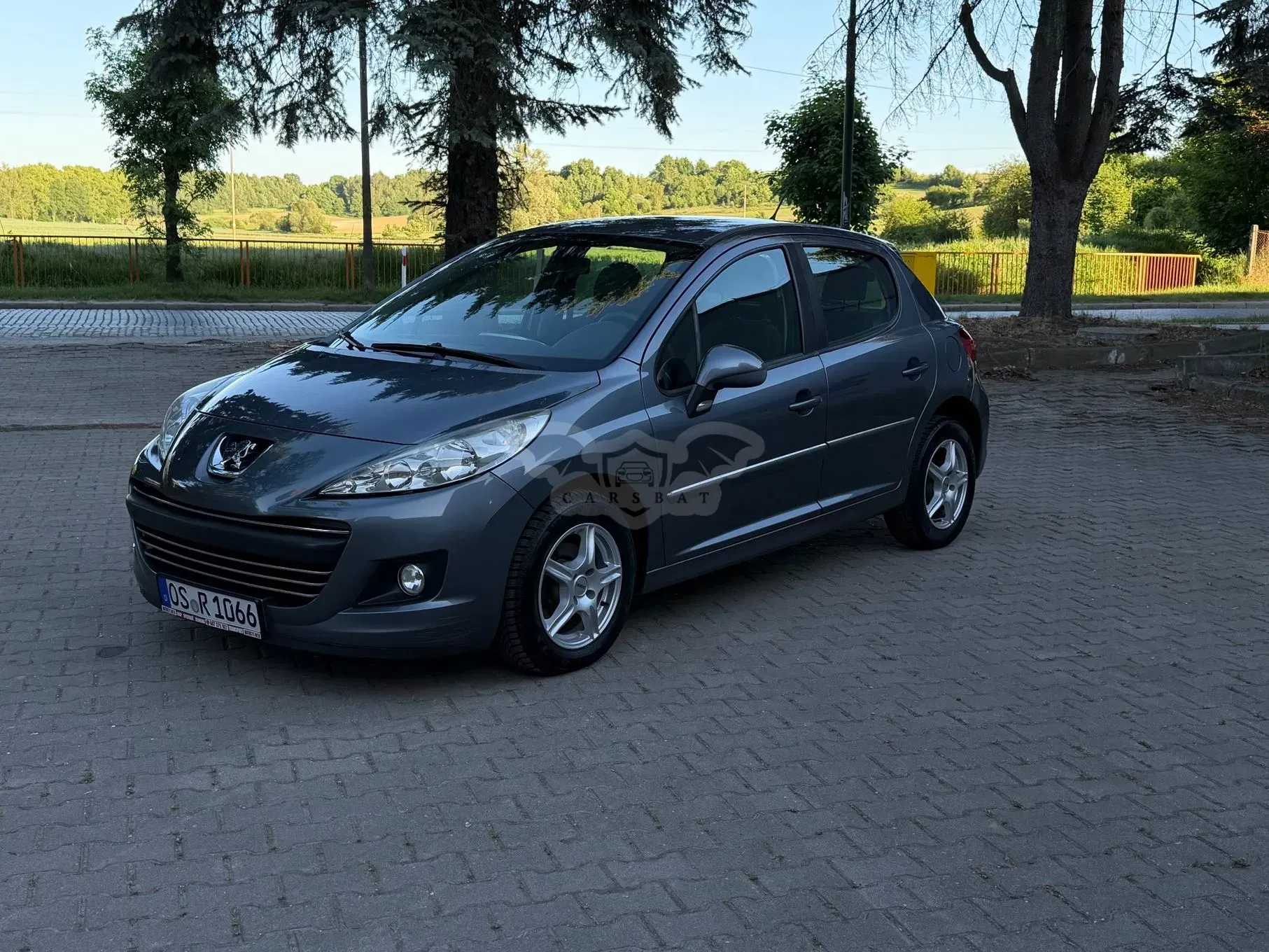 Peugeot 207 75 forever 2010