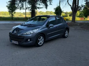 Peugeot 207 75 forever 2010