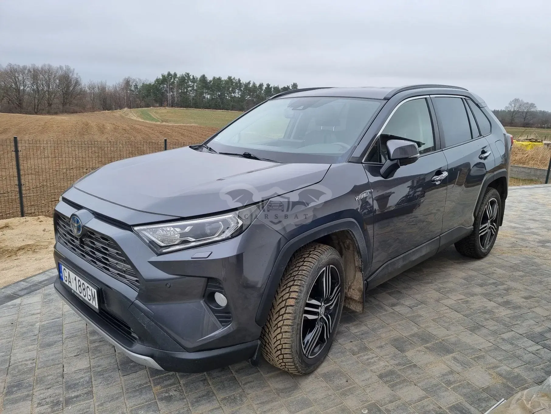 Toyota Rav4 V 2.5 Hybrid Executive 4x4 2020