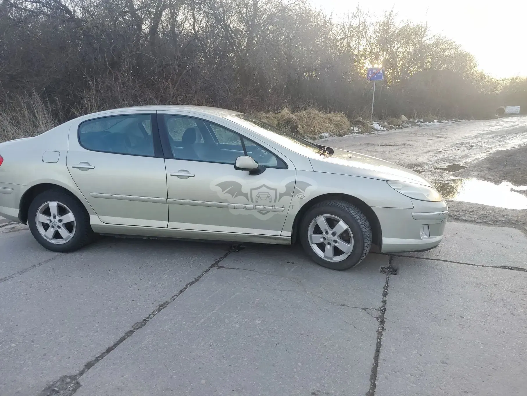 Peugeot 407 2.0 HDI Platinum 2009