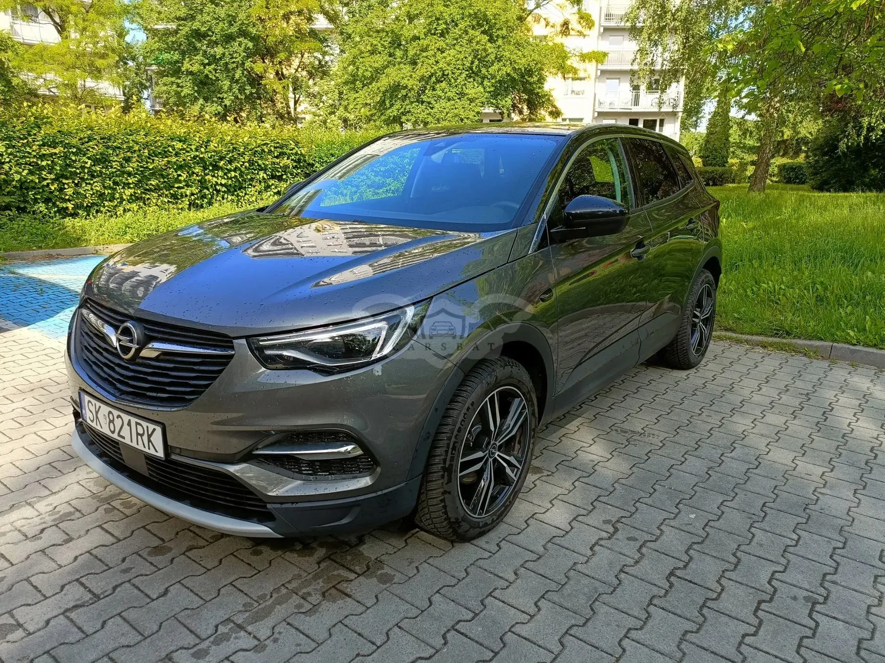 Opel Grandland 1.5 CDTI Innovation S&S 2019