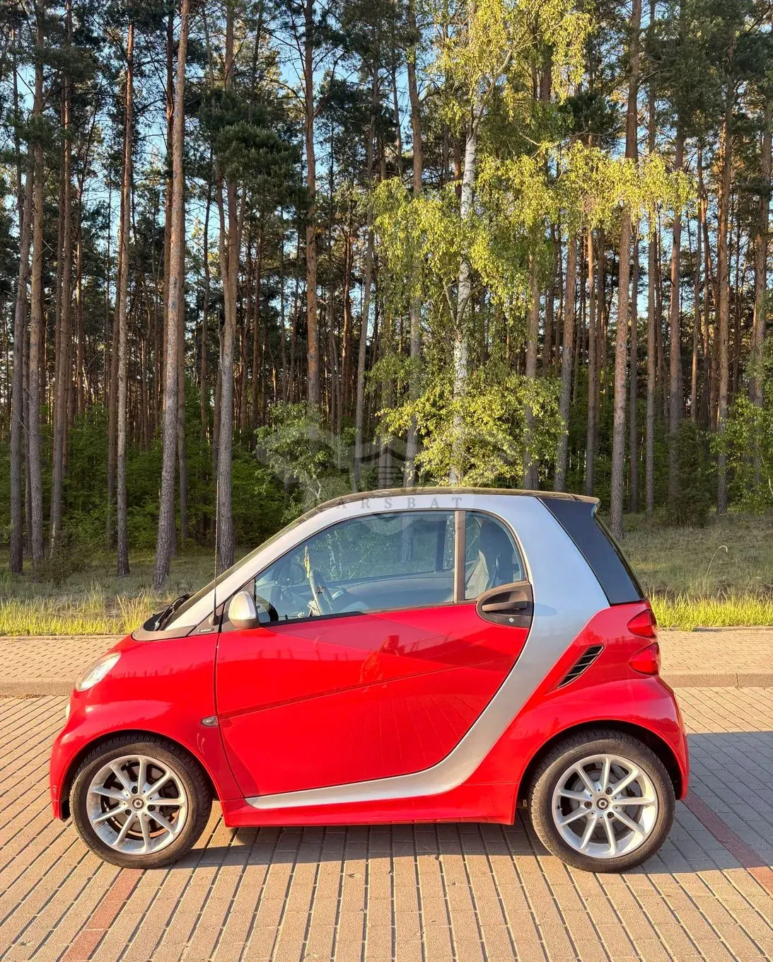 Smart Fortwo II & passion mhd 2012