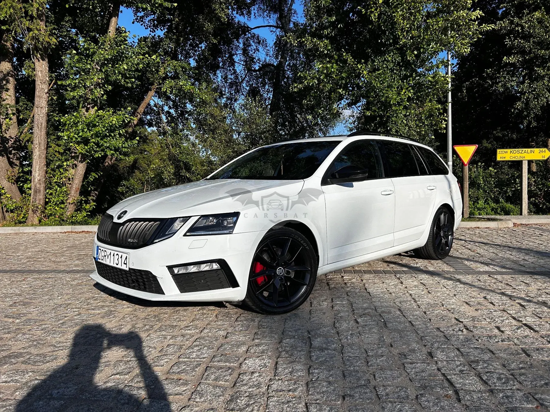 Skoda Octavia III 2.0 TDI (Green tec) DSG RS 2017