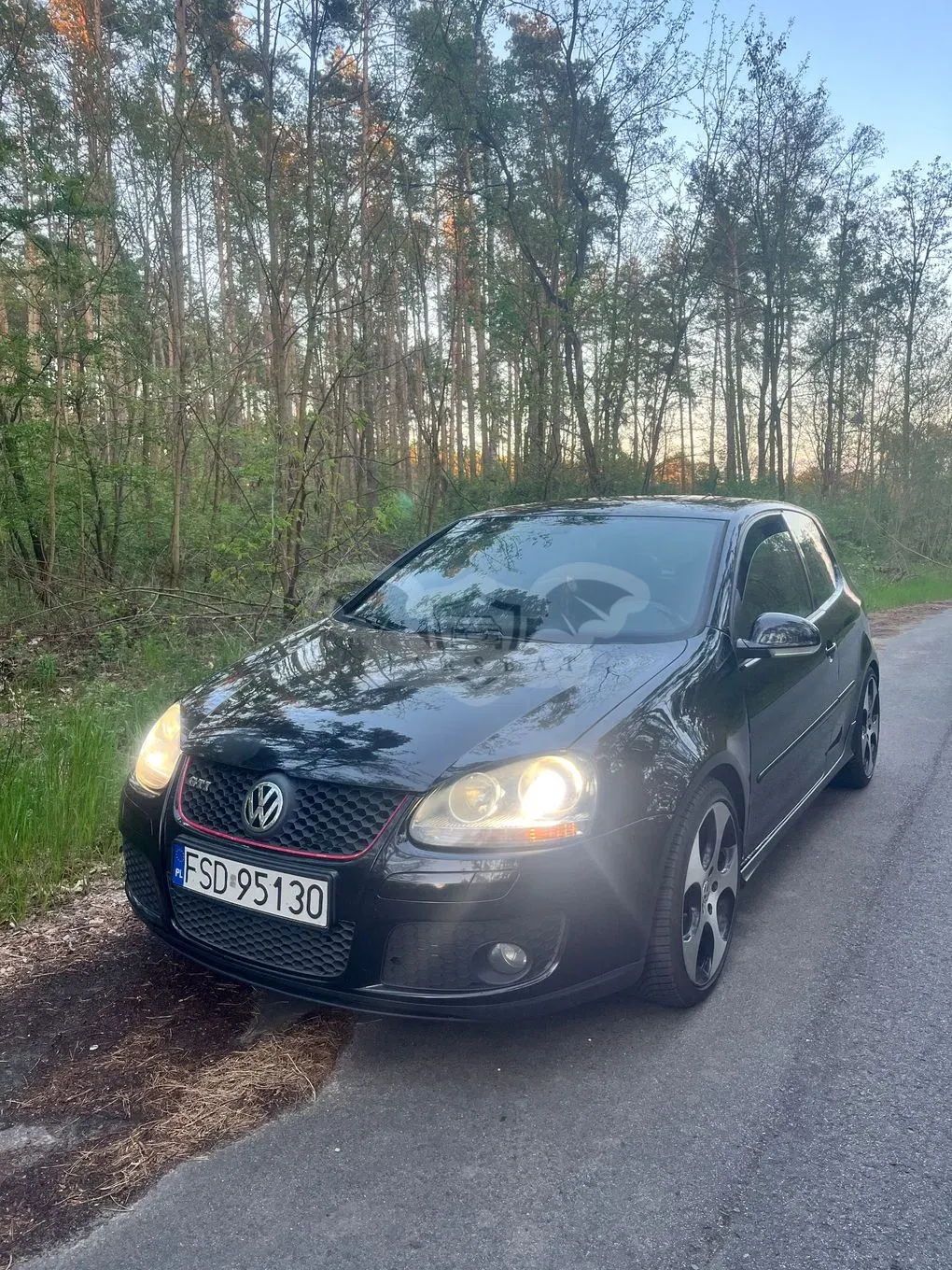 Volkswagen Golf V 2.0 TSI GTI DSG 2007